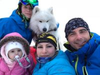 Samojed Echo of Siberia Carpathian White Smile