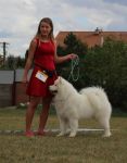 Samojed Einherjar Carpathian White Smile