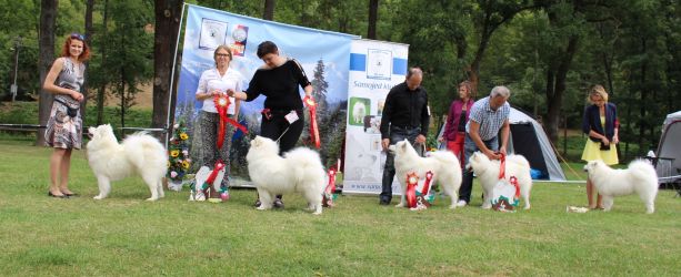 Samojed Everything Changes Carpathian White Smile