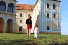 Samoyed Flame of Love Carpathian White Smile