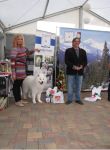 Samojed Flame of Love Carpathian White Smile