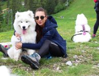 Samojed Great Choice Carpathian White Smile